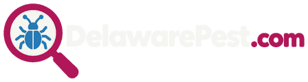 DelawarePest.com